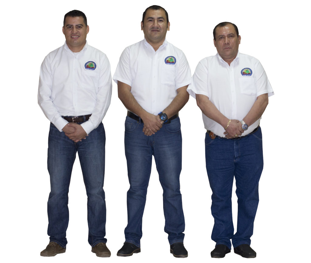 COMITE DE CREDITO